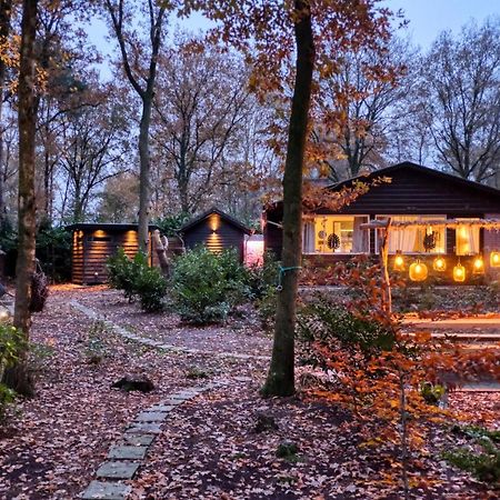 Lodge In Een Bosrijke Omgeving Met Hottub & Sauna Opt Rheezerveen Εξωτερικό φωτογραφία