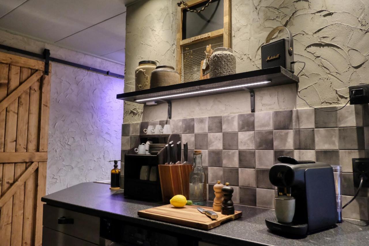 Lodge In Een Bosrijke Omgeving Met Hottub & Sauna Opt Rheezerveen Εξωτερικό φωτογραφία