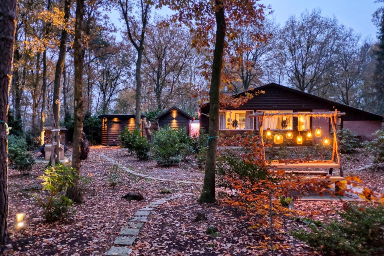 Lodge In Een Bosrijke Omgeving Met Hottub & Sauna Opt Rheezerveen Εξωτερικό φωτογραφία