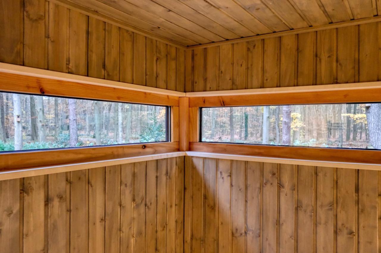 Lodge In Een Bosrijke Omgeving Met Hottub & Sauna Opt Rheezerveen Εξωτερικό φωτογραφία