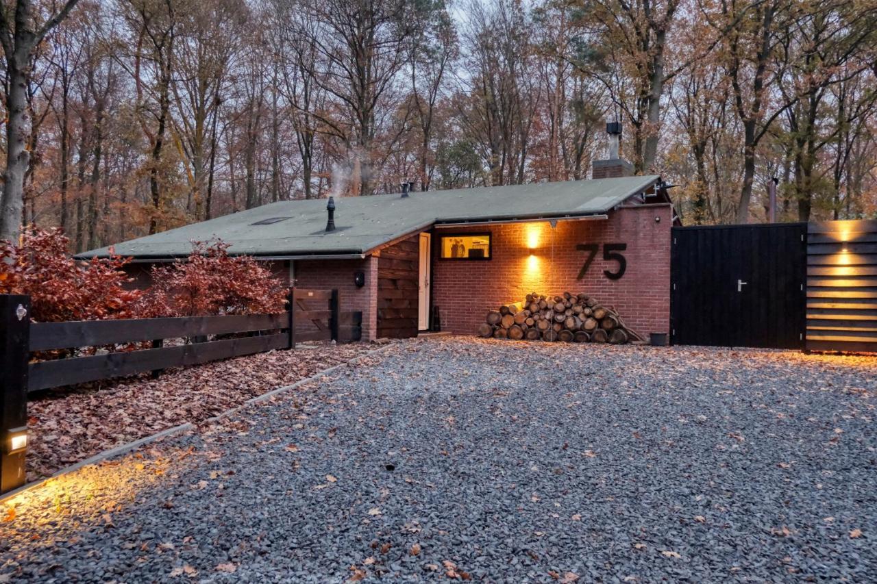 Lodge In Een Bosrijke Omgeving Met Hottub & Sauna Opt Rheezerveen Εξωτερικό φωτογραφία