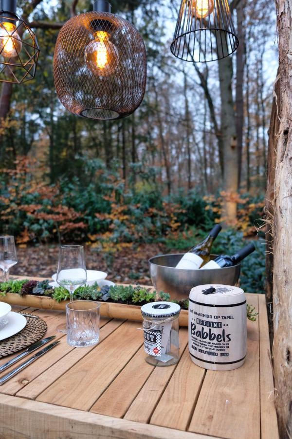 Lodge In Een Bosrijke Omgeving Met Hottub & Sauna Opt Rheezerveen Εξωτερικό φωτογραφία